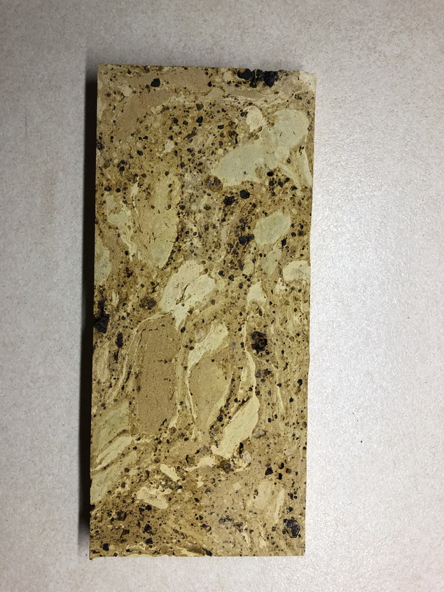 Tile fossil
